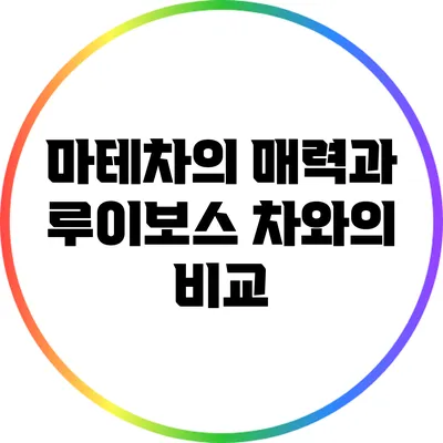 마테차의 매력과 루이보스 차와의 비교