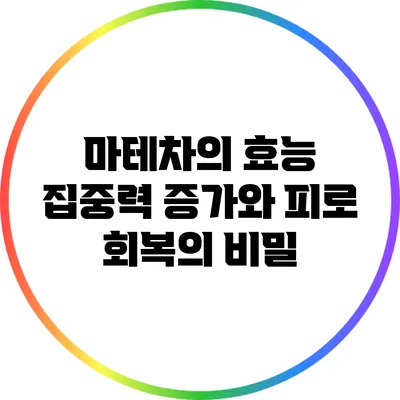 마테차의 효능: 집중력 증가와 피로 회복의 비밀