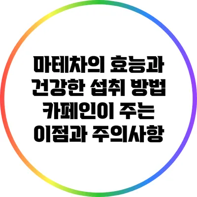 마테차의 효능과 건강한 섭취 방법: 카페인이 주는 이점과 주의사항