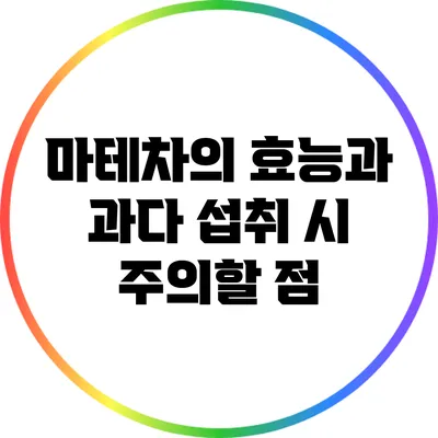 마테차의 효능과 과다 섭취 시 주의할 점