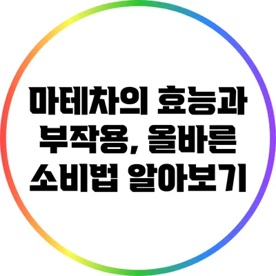 마테차의 효능과 부작용, 올바른 소비법 알아보기