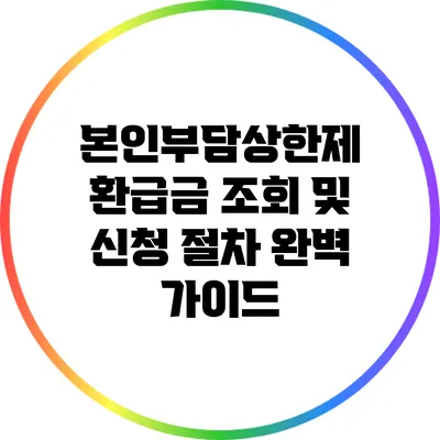 본인부담상한제 환급금 조회 및 신청 절차 완벽 가이드