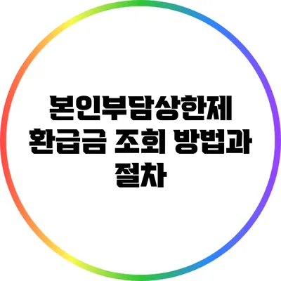 본인부담상한제 환급금 조회 방법과 절차