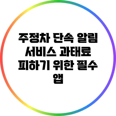 주정차 단속 알림 서비스: 과태료 피하기 위한 필수 앱