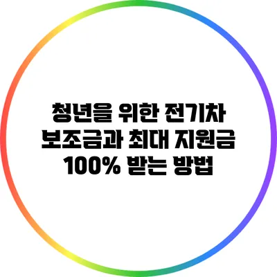 청년을 위한 전기차 보조금과 최대 지원금 100% 받는 방법
