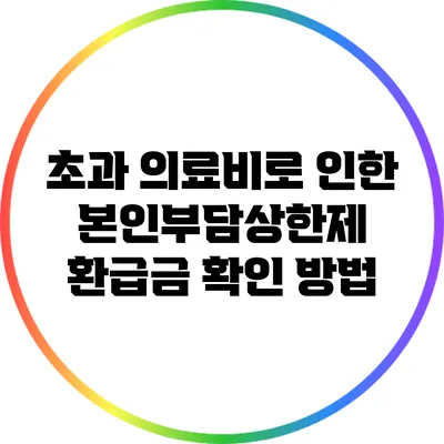 초과 의료비로 인한 본인부담상한제 환급금 확인 방법