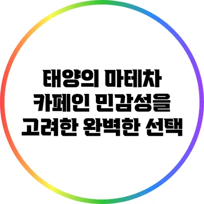 태양의 마테차: 카페인 민감성을 고려한 완벽한 선택