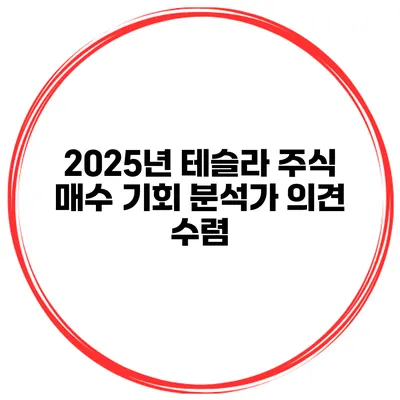 2025년 테슬라 주식 매수 기회 분석가 의견 수렴