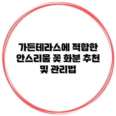 가든테라스에 적합한 안스리움 꽃 화분 추천 및 관리법