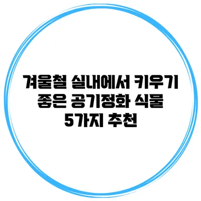 겨울철 실내에서 키우기 좋은 공기정화 식물 5가지 추천