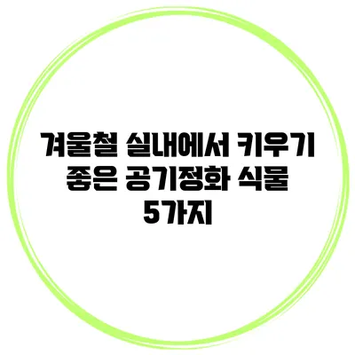 겨울철 실내에서 키우기 좋은 공기정화 식물 5가지
