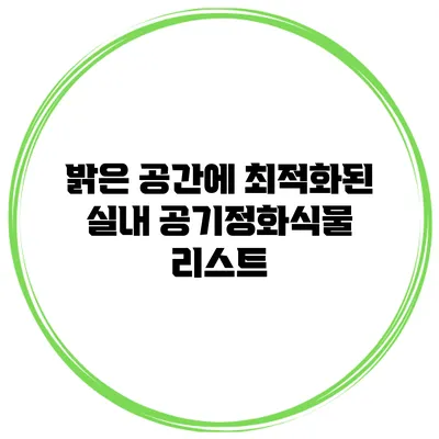 밝은 공간에 최적화된 실내 공기정화식물 리스트