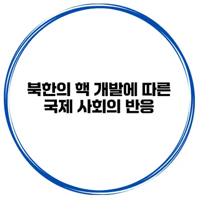 북한의 핵 개발에 따른 국제 사회의 반응