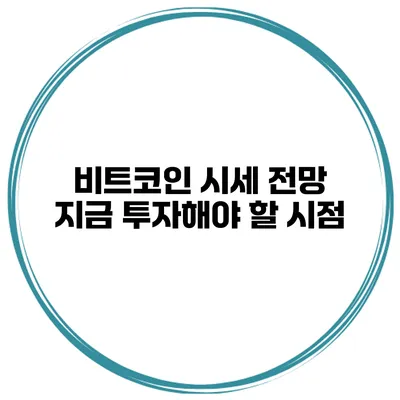 비트코인 시세 전망 지금 투자해야 할 시점?