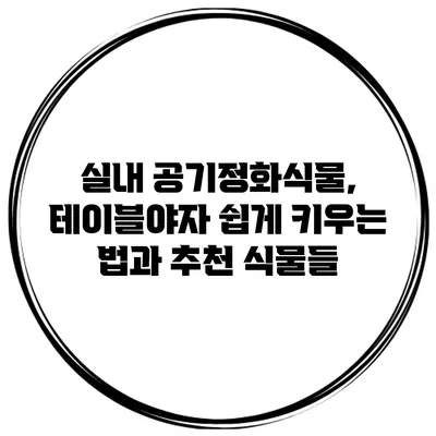 실내 공기정화식물, 테이블야자 쉽게 키우는 법과 추천 식물들