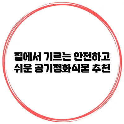 집에서 기르는 안전하고 쉬운 공기정화식물 추천