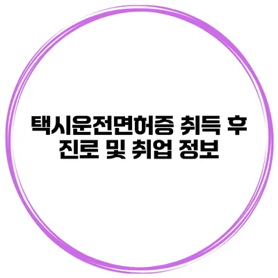 택시운전면허증 취득 후 진로 및 취업 정보