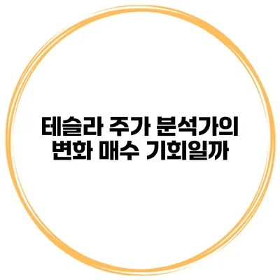 테슬라 주가 분석가의 변화 매수 기회일까?
