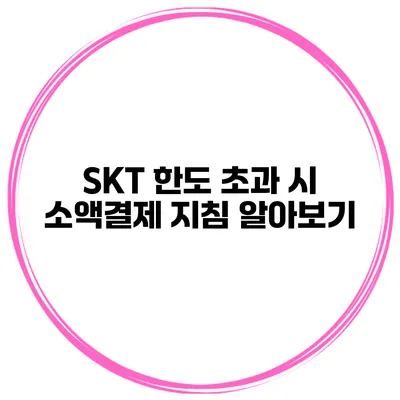 SKT 한도 초과 시 소액결제 지침 알아보기