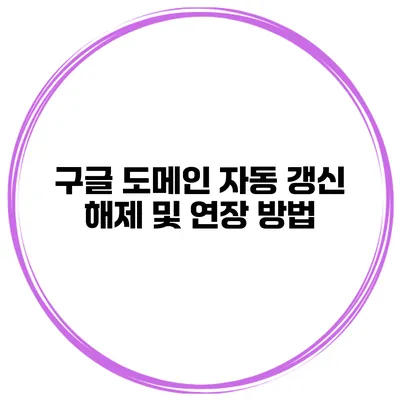 구글 도메인 자동 갱신 해제 및 연장 방법