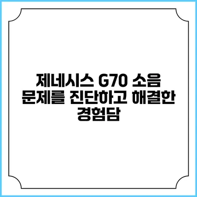 제네시스 G70 소음 문제를 진단하고 해결한 경험담